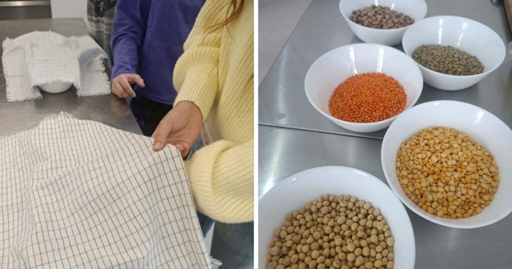 Hüvelyeseket kellett felismerniük tapintás alapján a diákoknak